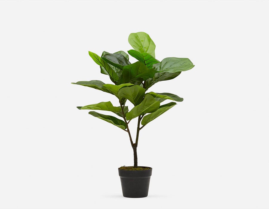 FIDDLE LEAF II plante artificielle en pot 70 cm undefined