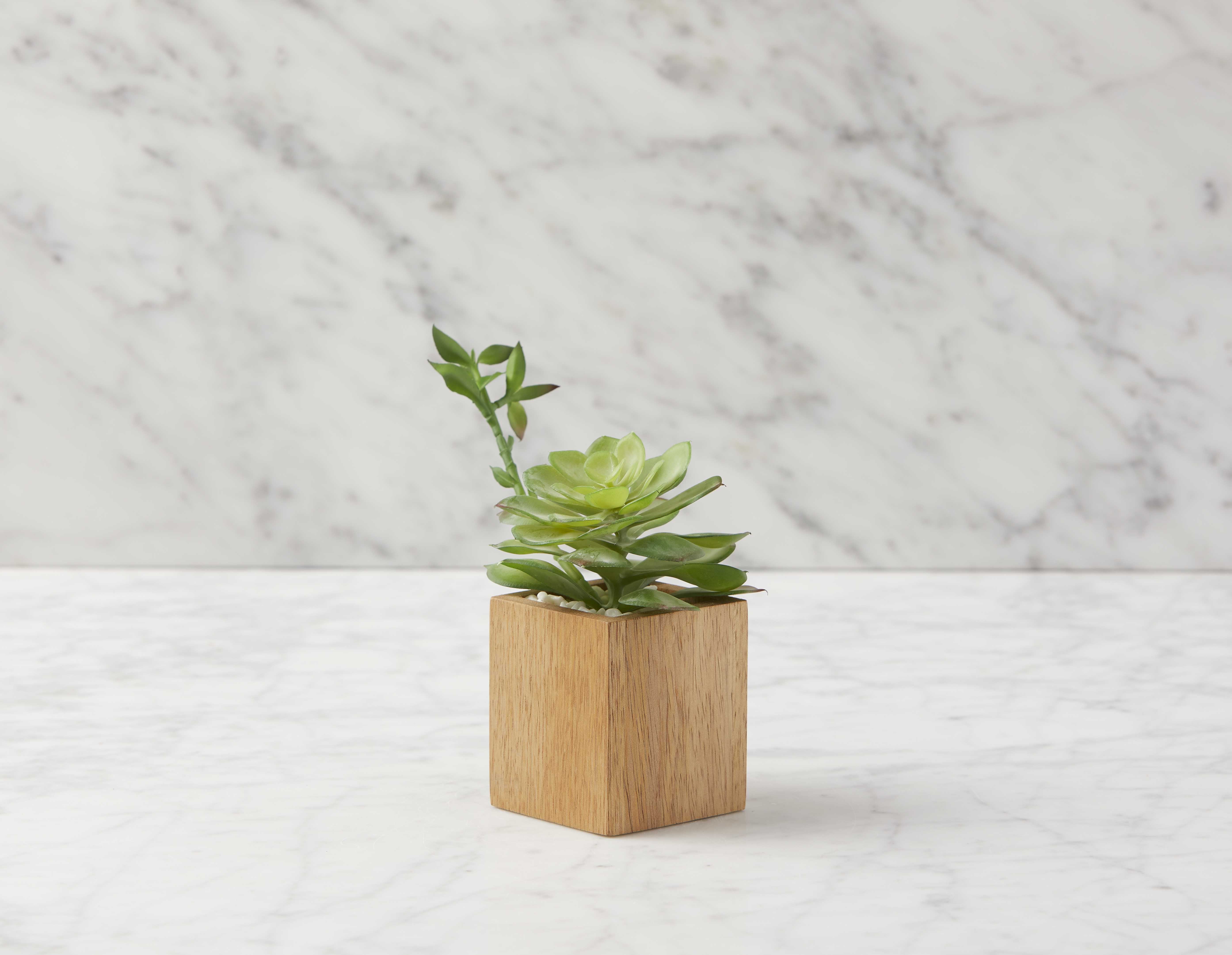 FORET - plante artificielle en pot 7 cm - Naturel