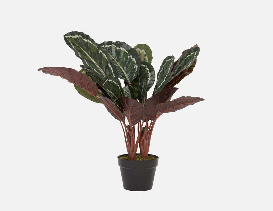 FANI plante artificielle en pot 70 cm undefined