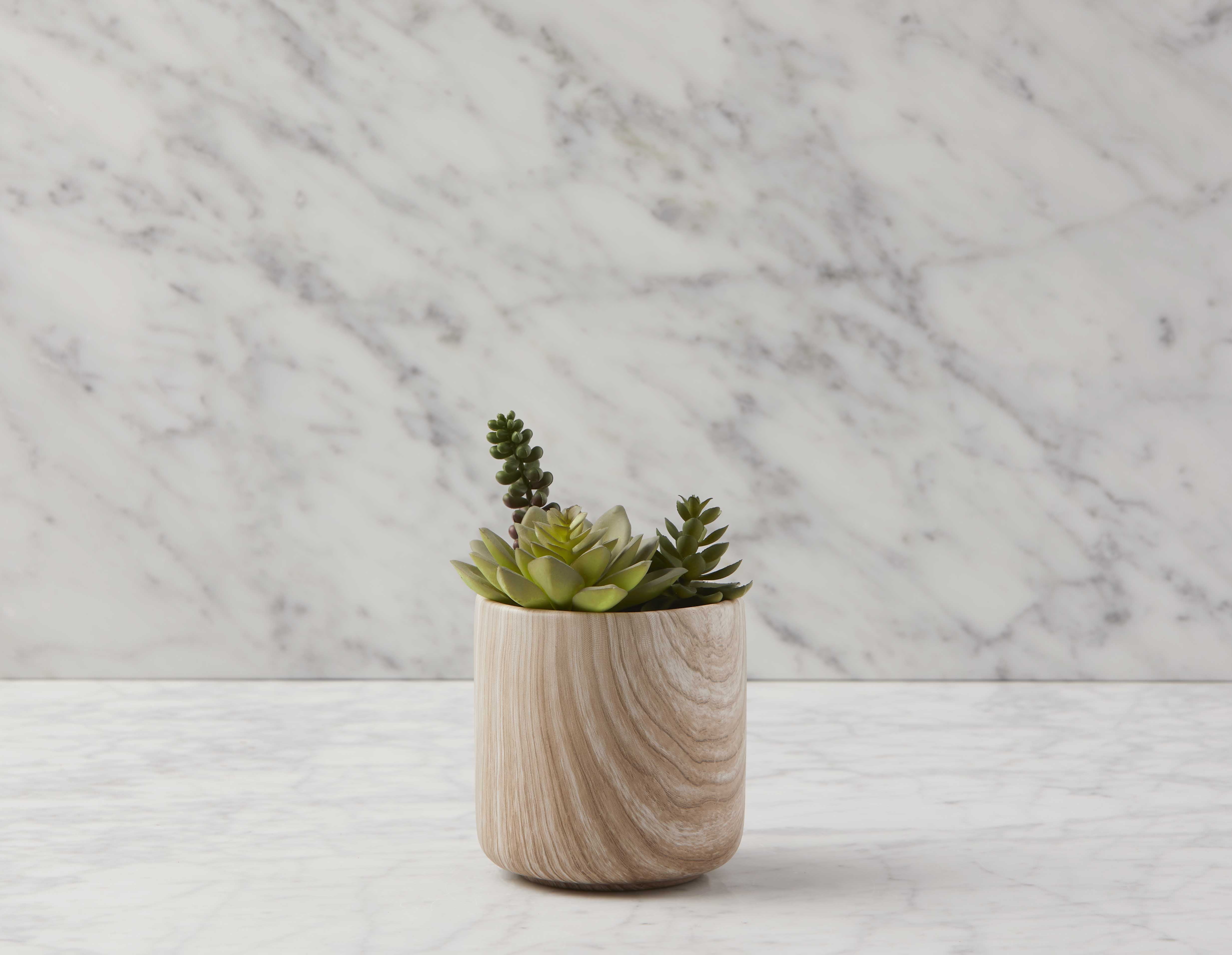 TOBY - plante artificielle en pot 18 cm - Multi