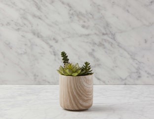 TOBY - plante artificielle en pot 18 cm - Multi