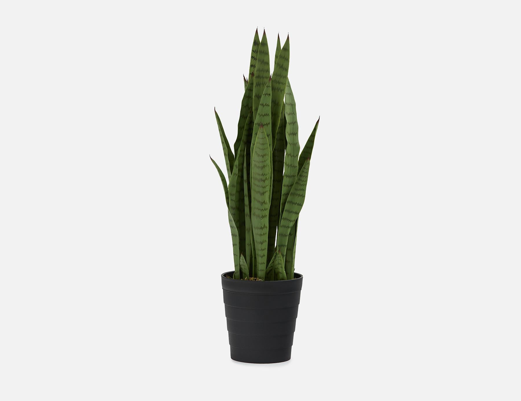 SNAKE PLANT - plante artificielle en pot 94 cm - Vert