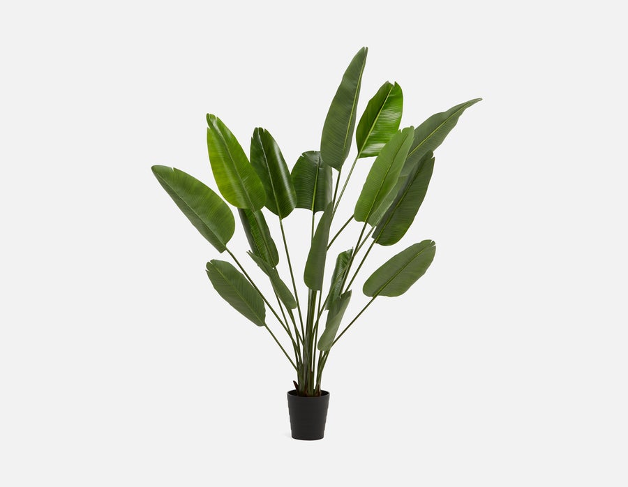 VERTO plante artificielle en pot 210 cm undefined
