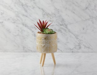 FYTO II - plante artificielle en pot 28 cm - Multi
