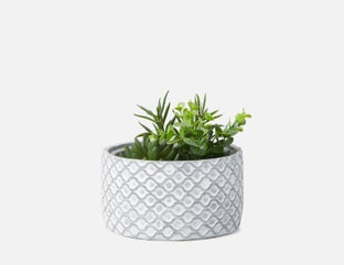 LIVI II - plante artificielle en pot 20 cm - Blanc/gris