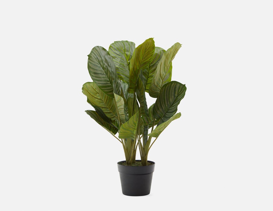 ALLY plante artificielle en pot 55 cm undefined