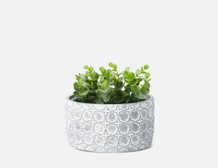 LIVI I - plante artificielle en pot 17 cm - Blanc/gris