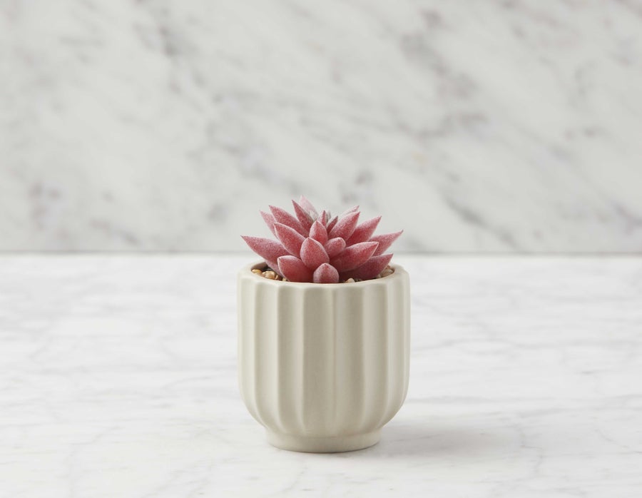 GALE plante artificielle en pot 12 cm undefined