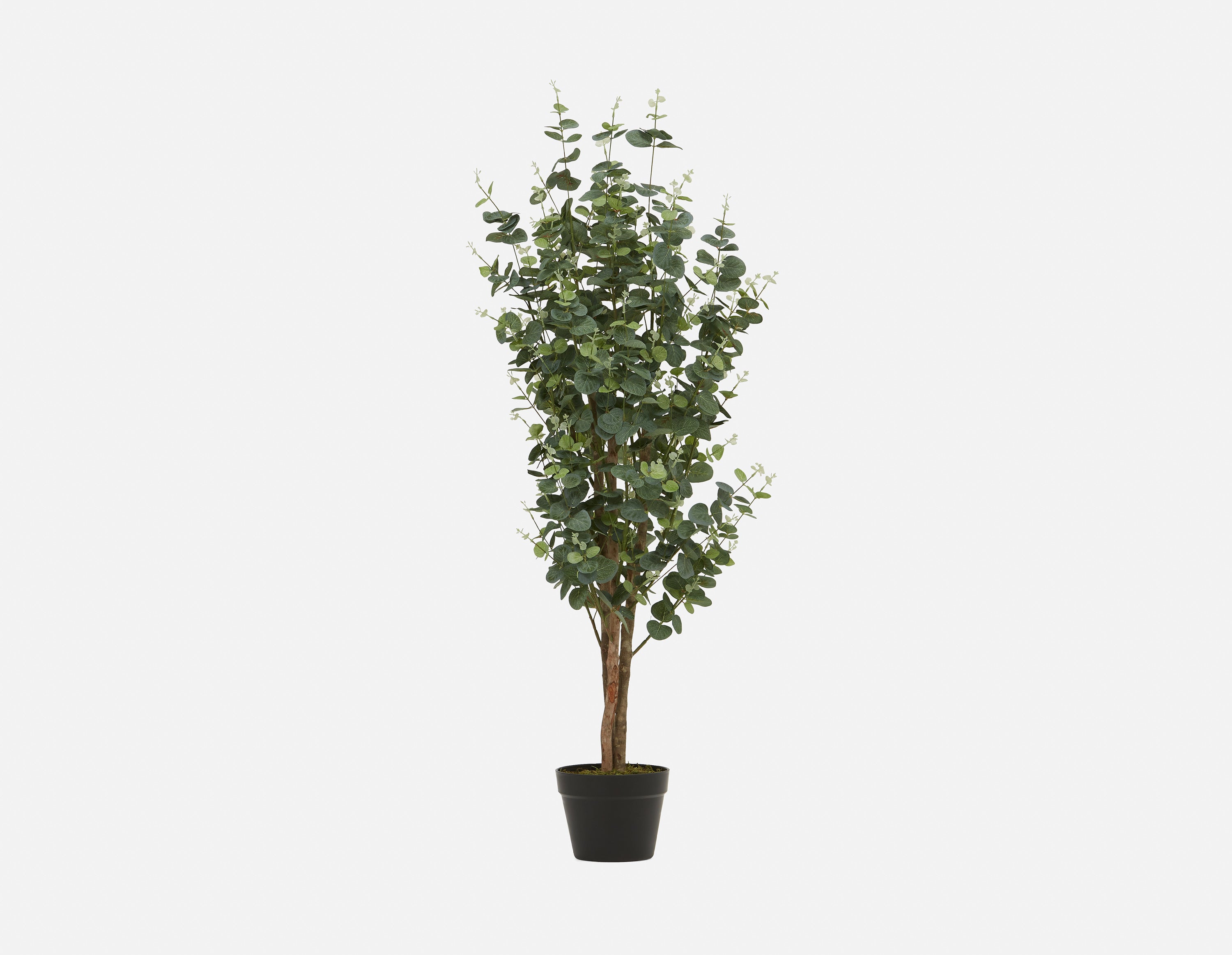 EUCALYPTUS IV - plante artificielle en pot 125cm - Vert