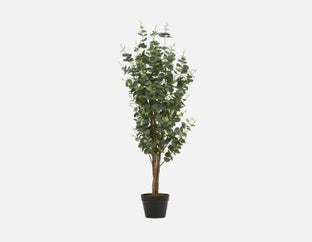 EUCALYPTUS IV - plante artificielle en pot 125cm - Vert