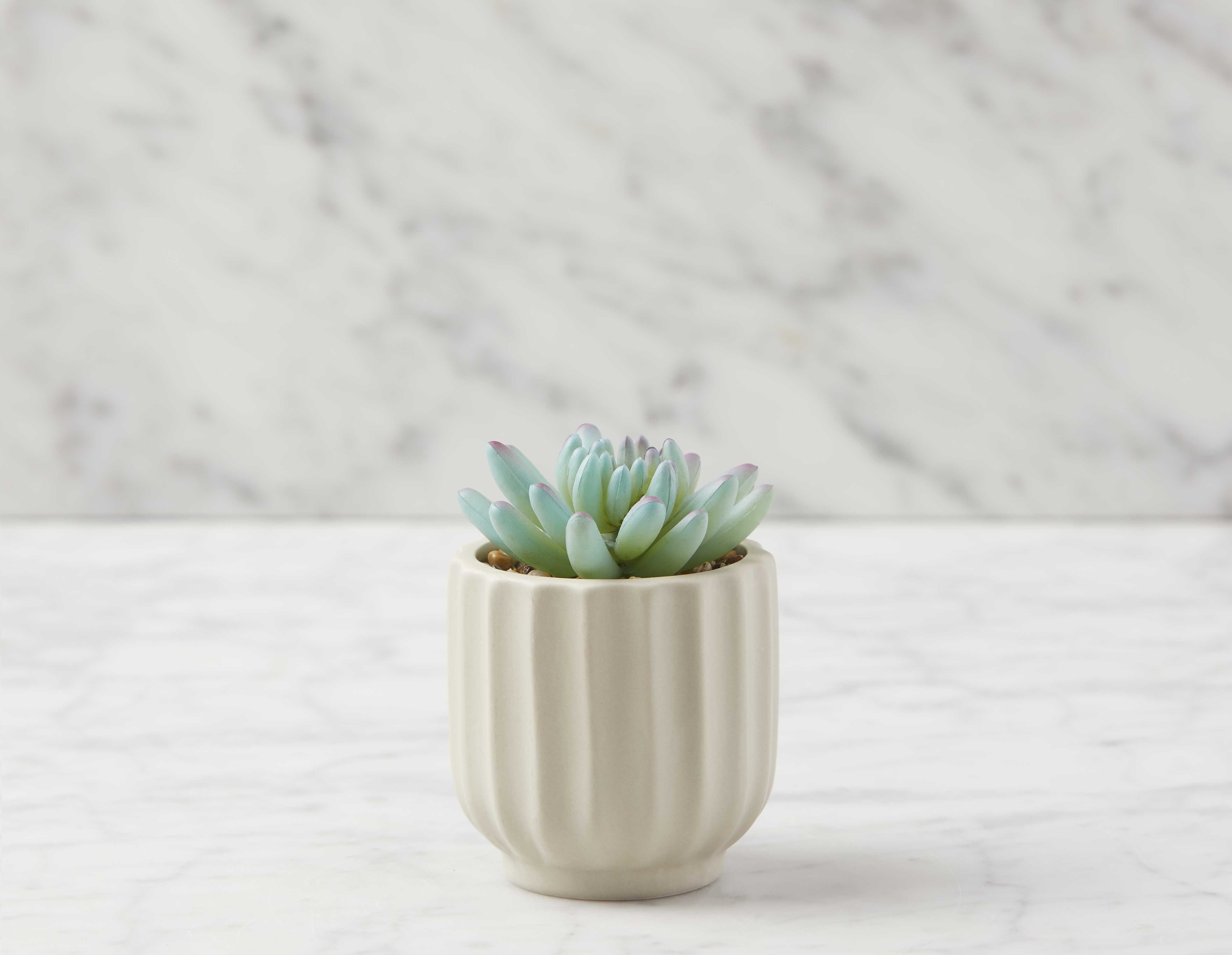 NAVA - plante artificielle en pot 12 cm - Multi