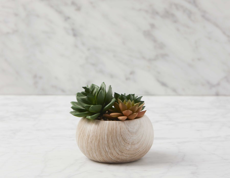 TISHA plante artificielle en pot 13 cm undefined