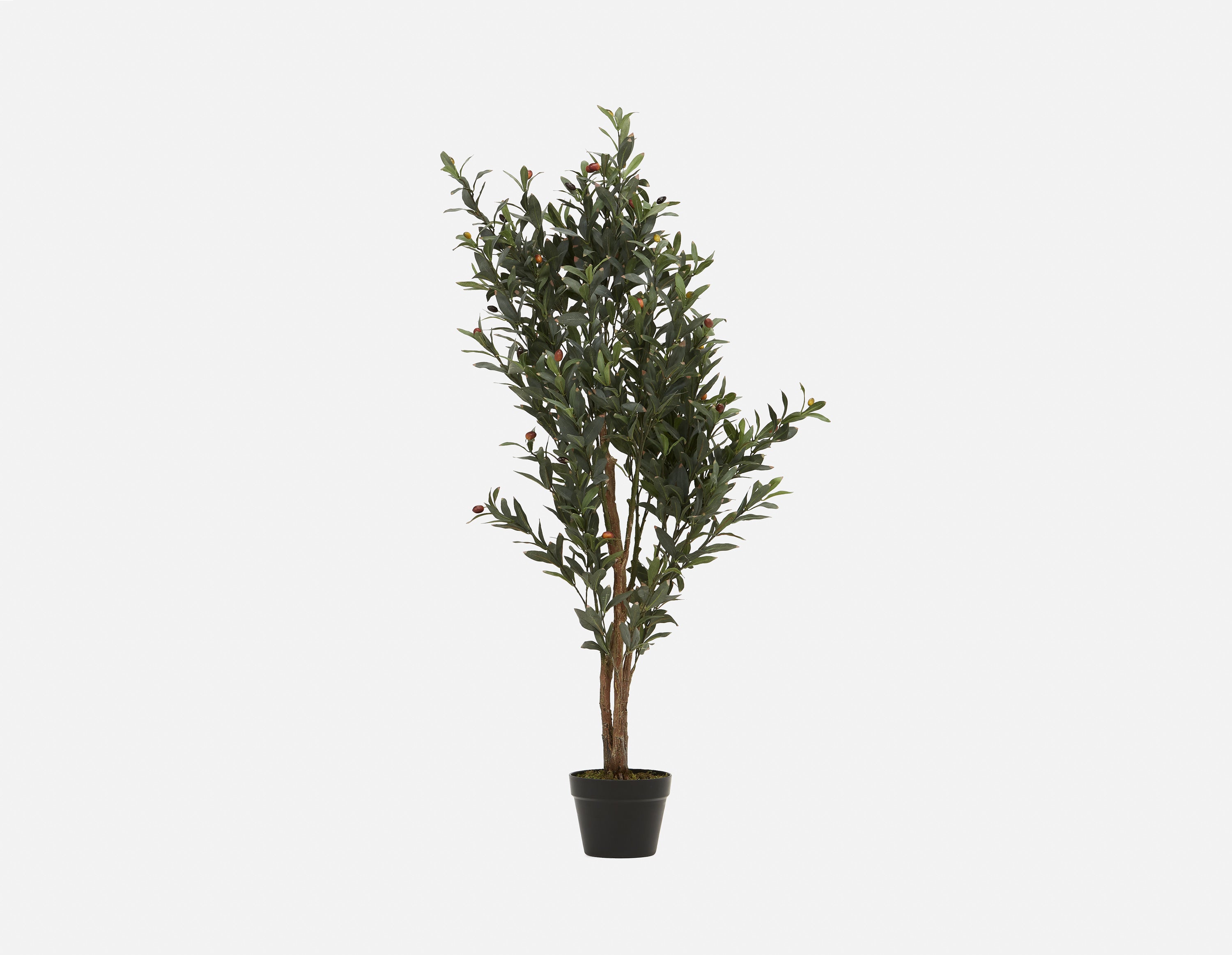 OLIVE I - plante artificielle en pot 130cm - Vert