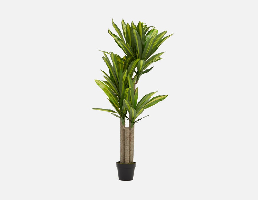 DAXI plante artificielle en pot 150 cm undefined