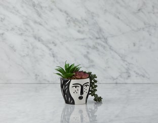 OMORFOS - plante artificielle en pot 16 cm - Noir/blanc