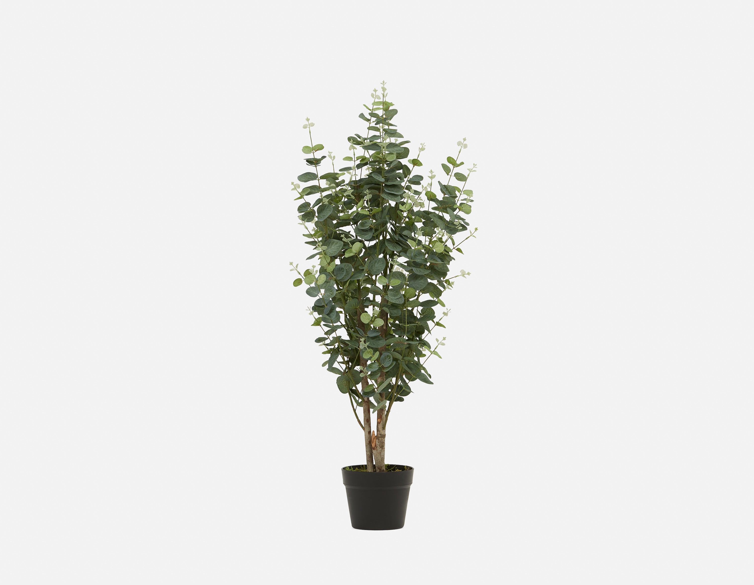EUCALYPTUS III - plante artificielle en pot 95cm - Vert