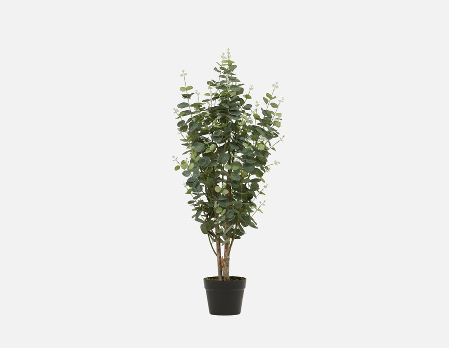 EUCALYPTUS III plante artificielle en pot 95cm undefined