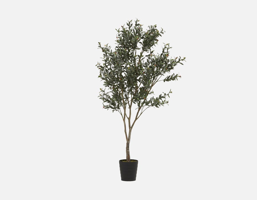 OLIVE II plante artificielle en pot 200cm undefined