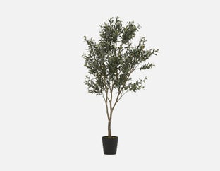 OLIVE II - plante artificielle en pot 200cm - Vert