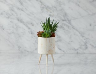 TAWNEY - plante artificielle en pot 25 cm - Multi