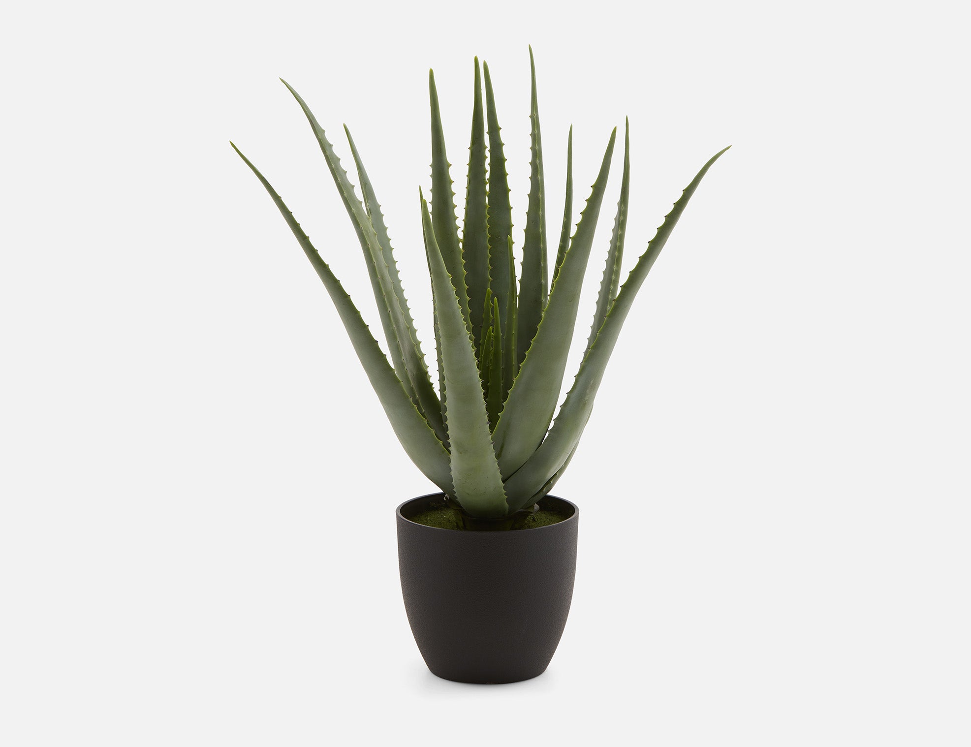 ALOEE - plante artificielle en pot 67 cm - Vert