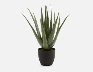 ALOEE - plante artificielle en pot 67 cm - Vert