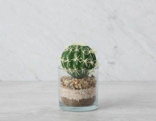 ECHINO - plante artificielle en pot 15 cm - Vert