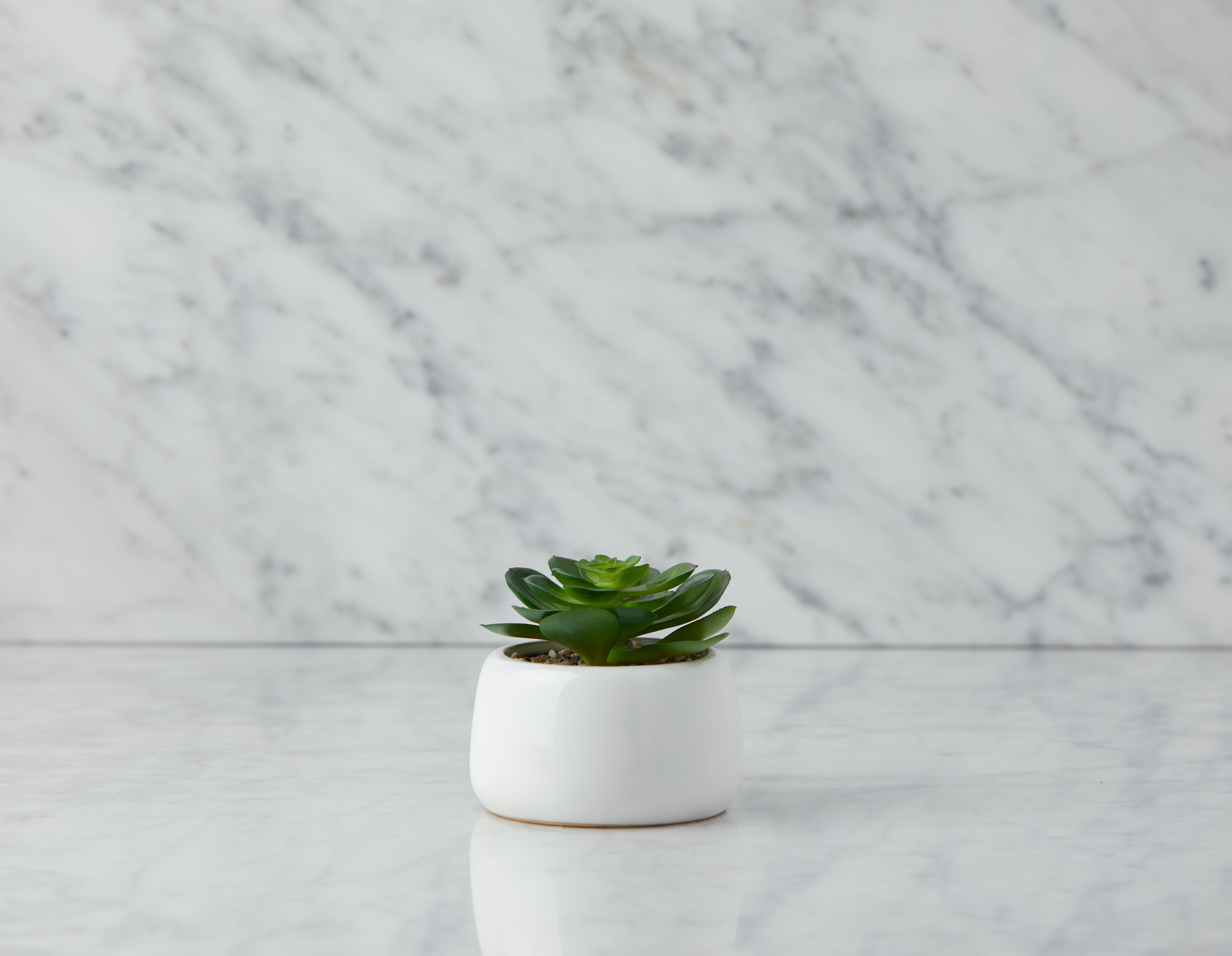 CAORY - plante artificielle en pot 11 cm - Blanc