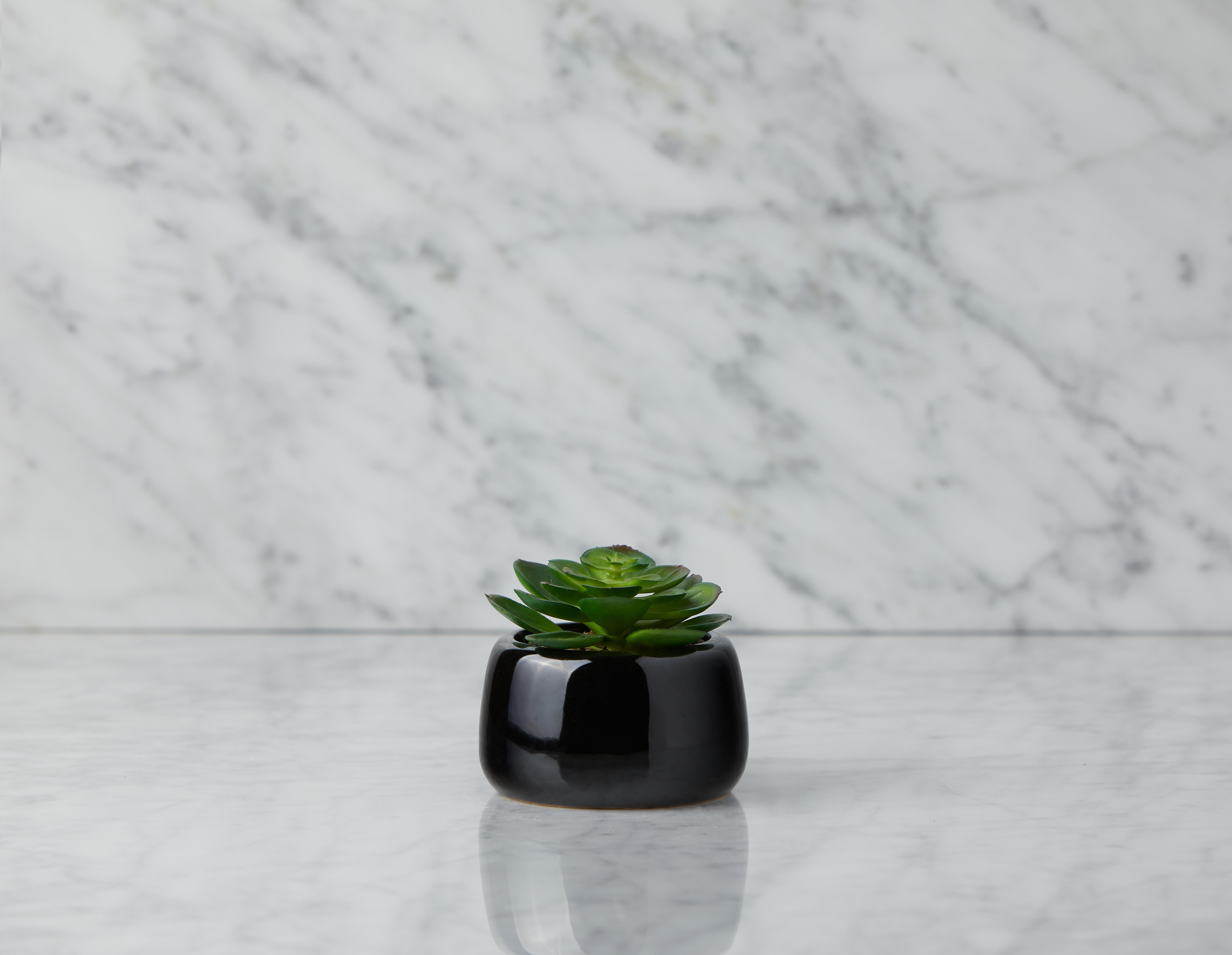 CAORY - plante artificielle en pot 11 cm - Noir