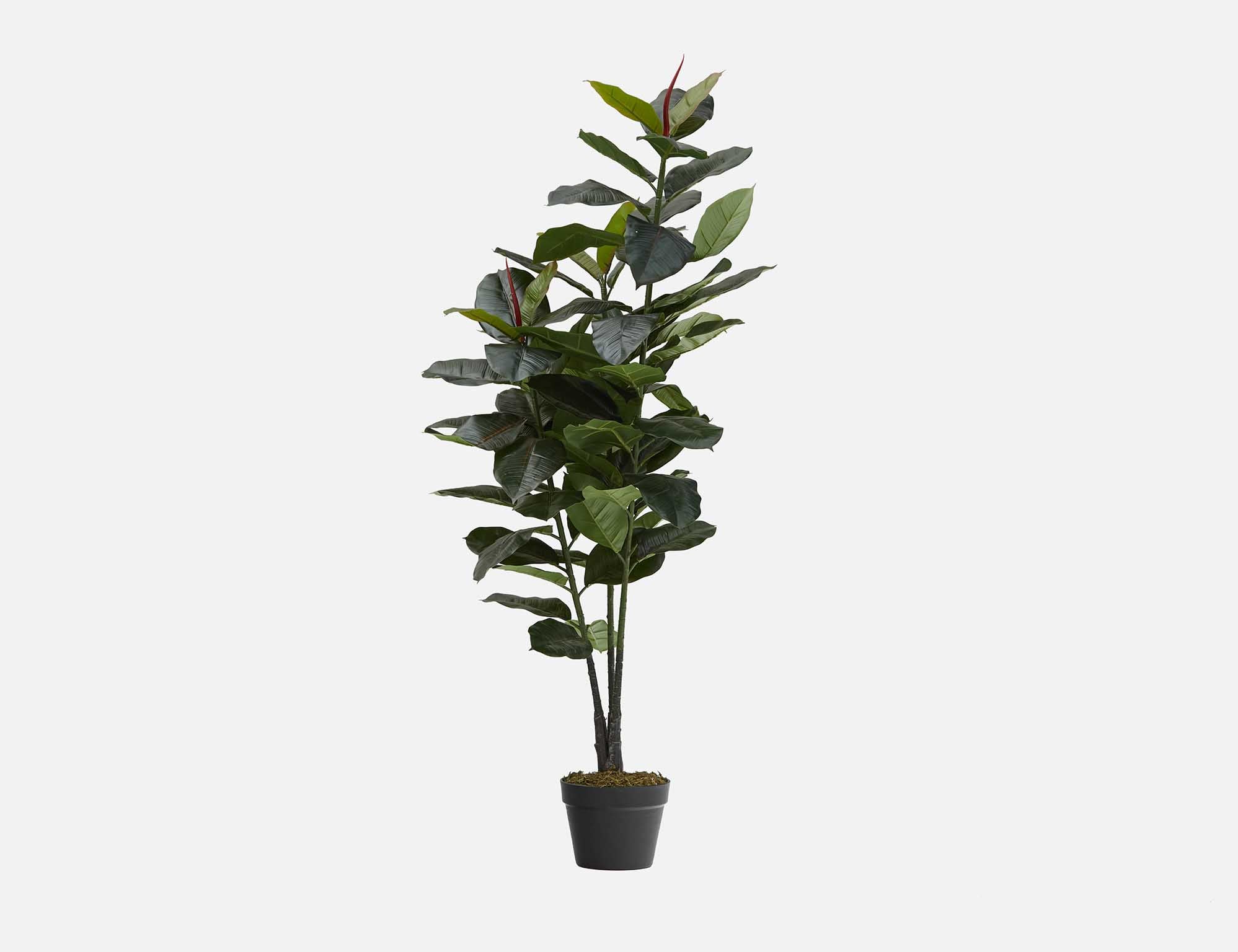 FICUS ELASTICA - plante artificielle en pot 130 cm - Vert