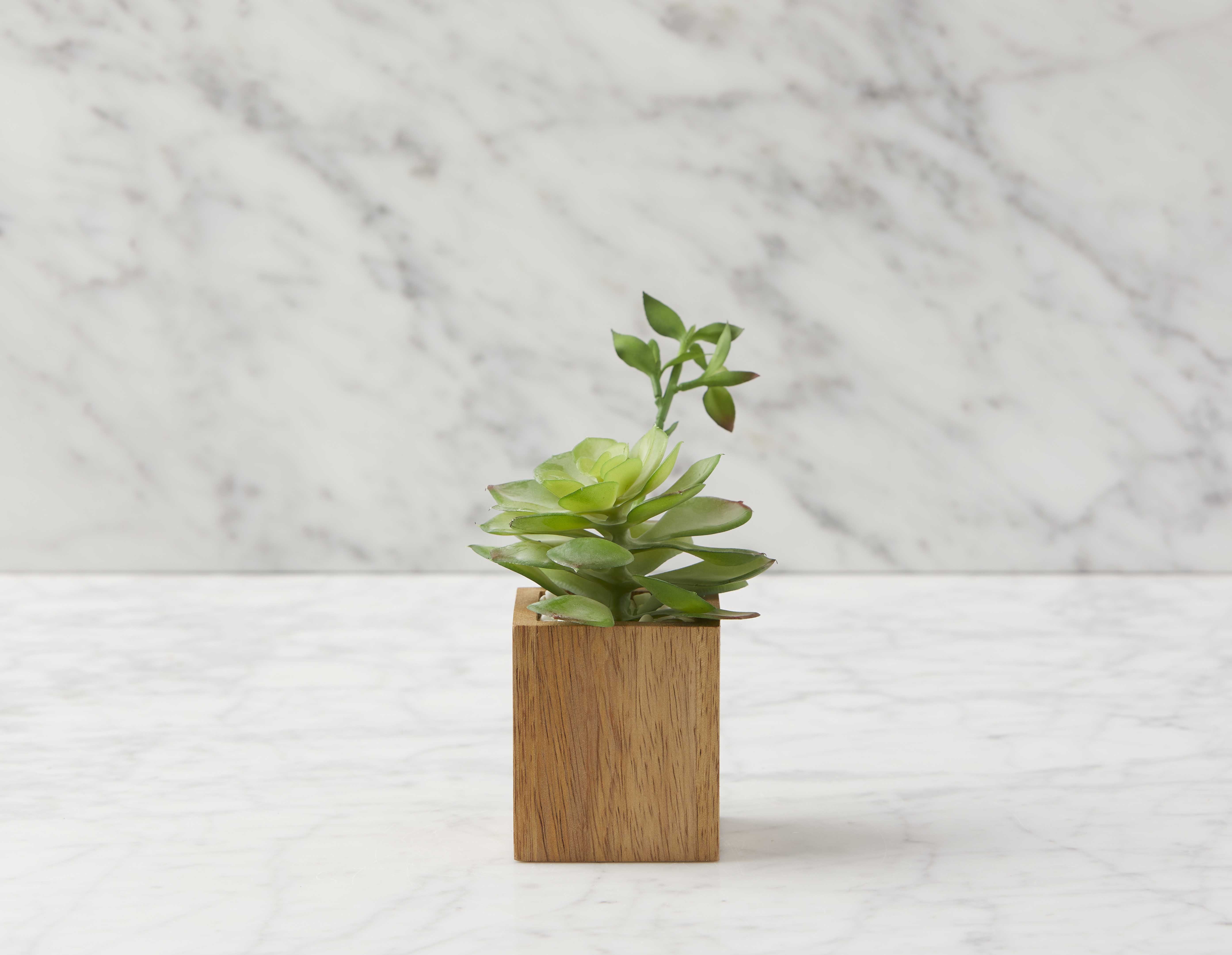FORET plante artificielle en pot 7 cm undefined