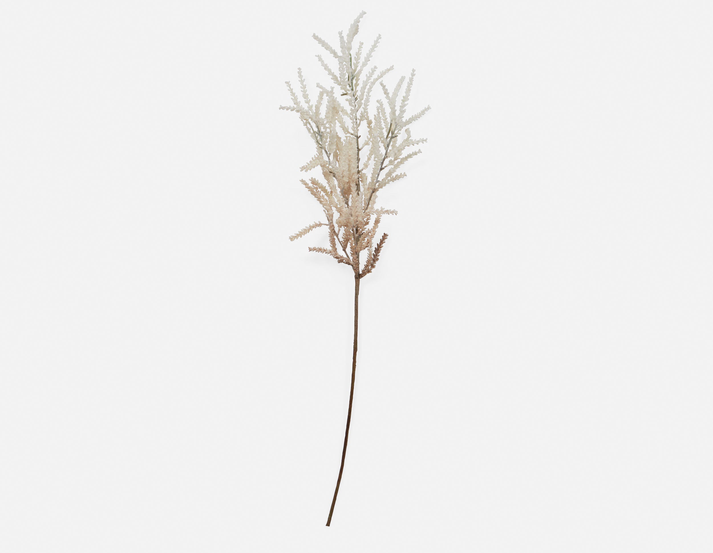 PAMPAS V plante artificielle 94 cm undefined