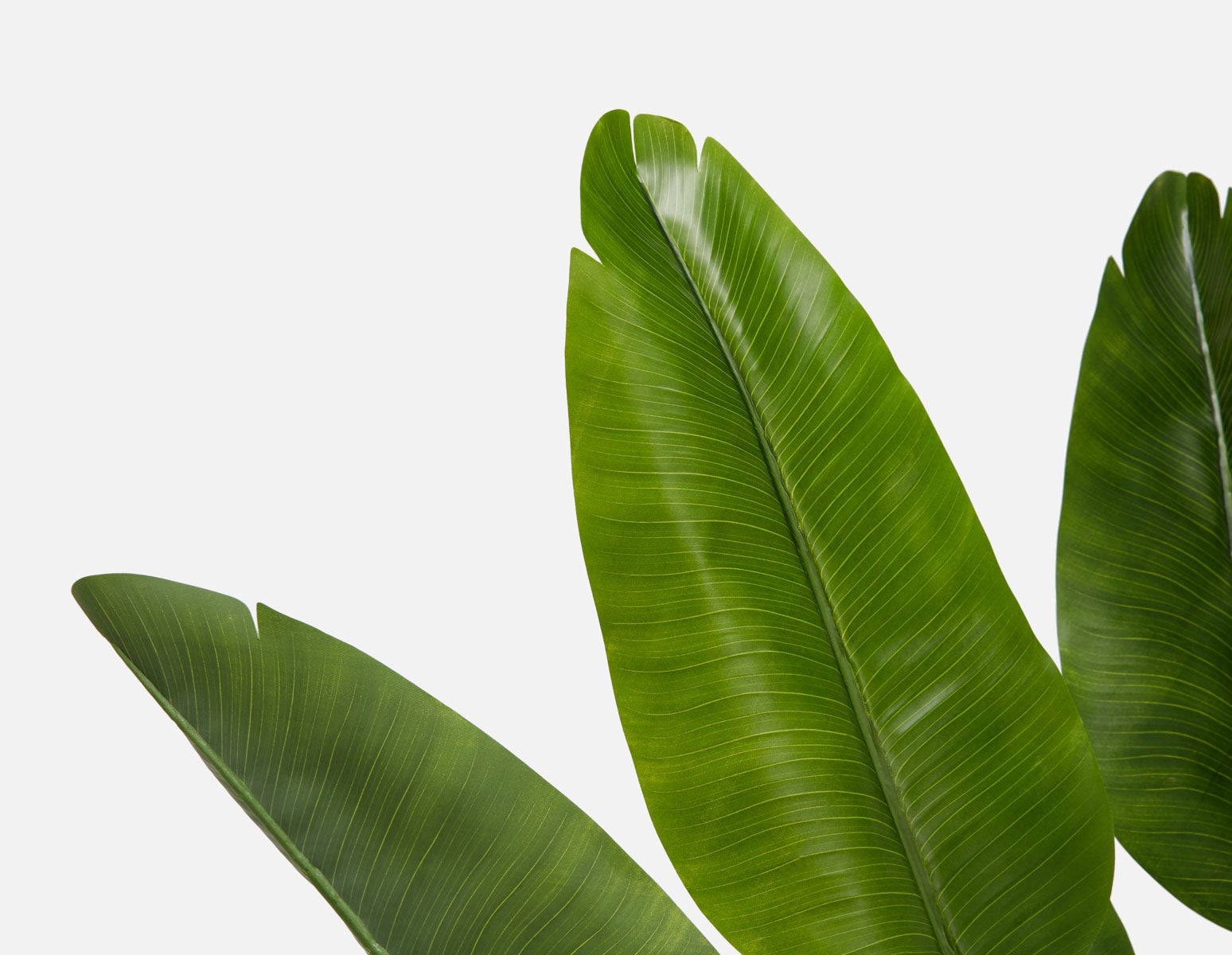 VERTO plante artificielle en pot 210 cm undefined