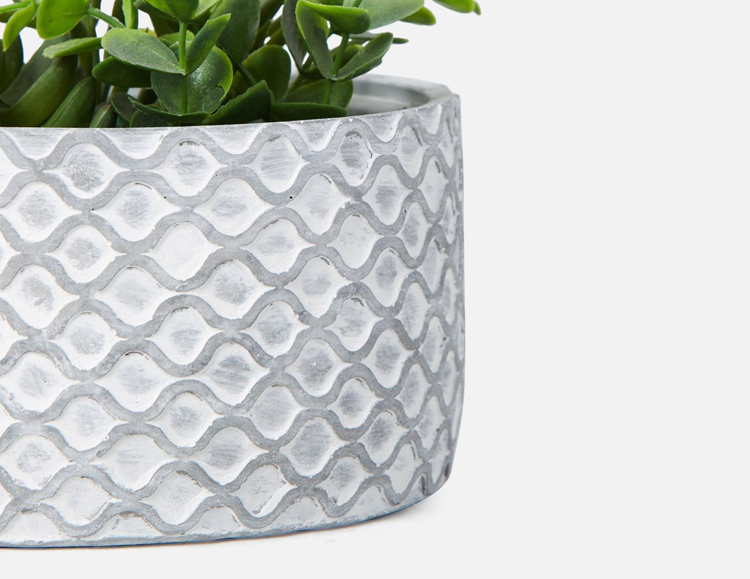 LIVI II plante artificielle en pot 20 cm undefined