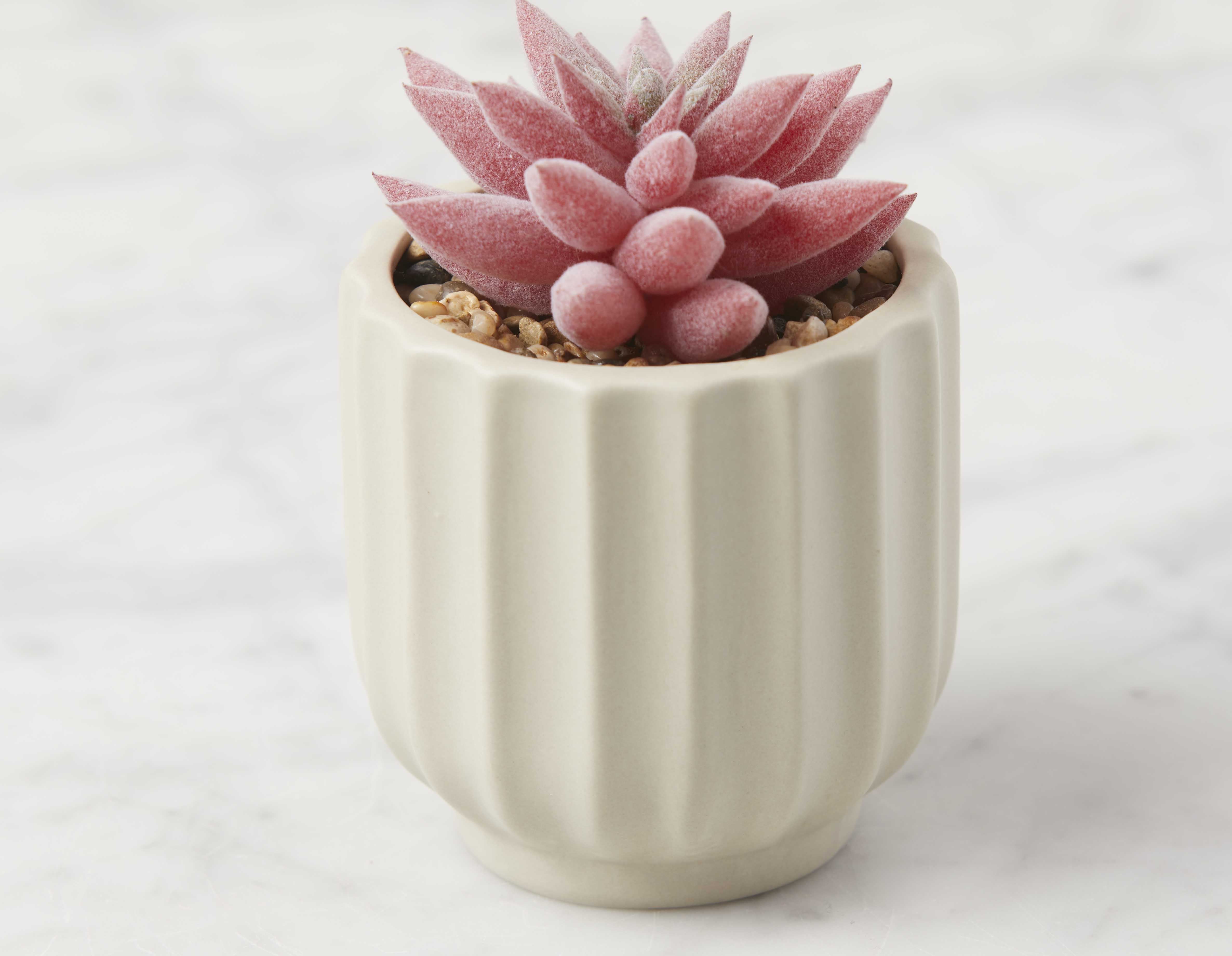 GALE plante artificielle en pot 12 cm undefined