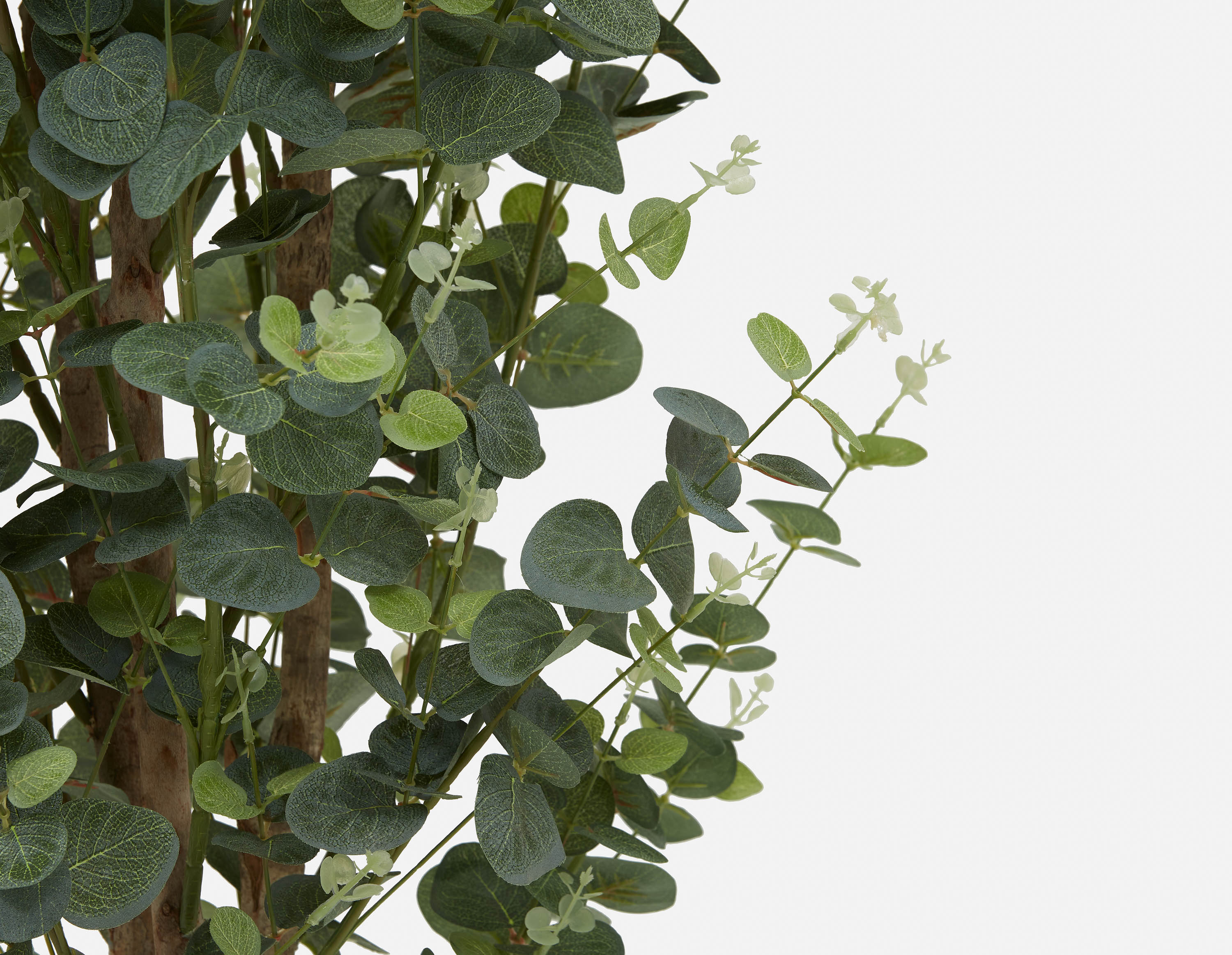 EUCALYPTUS IV plante artificielle en pot 125cm undefined