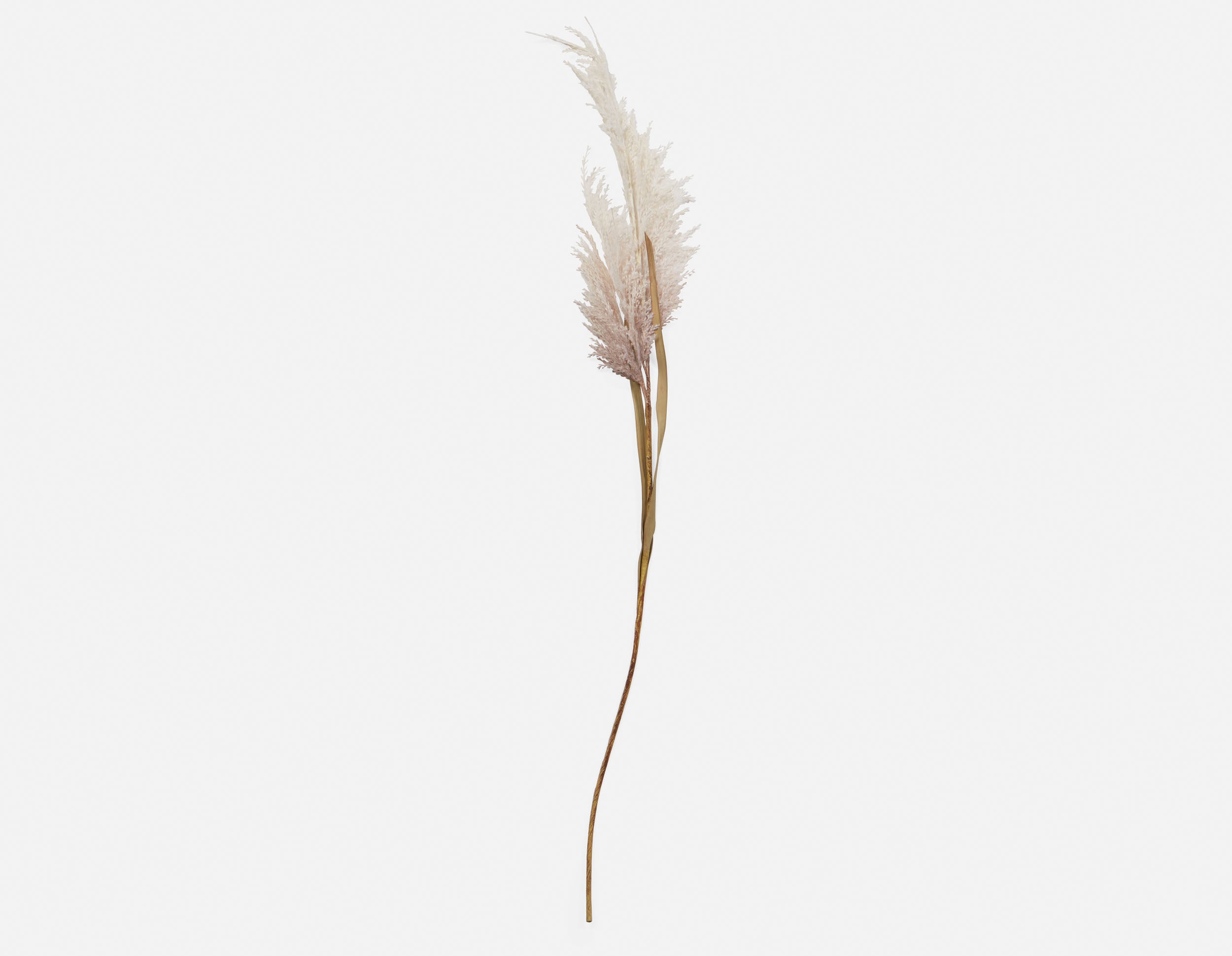 PAMPAS III plante artificielle 107 cm undefined