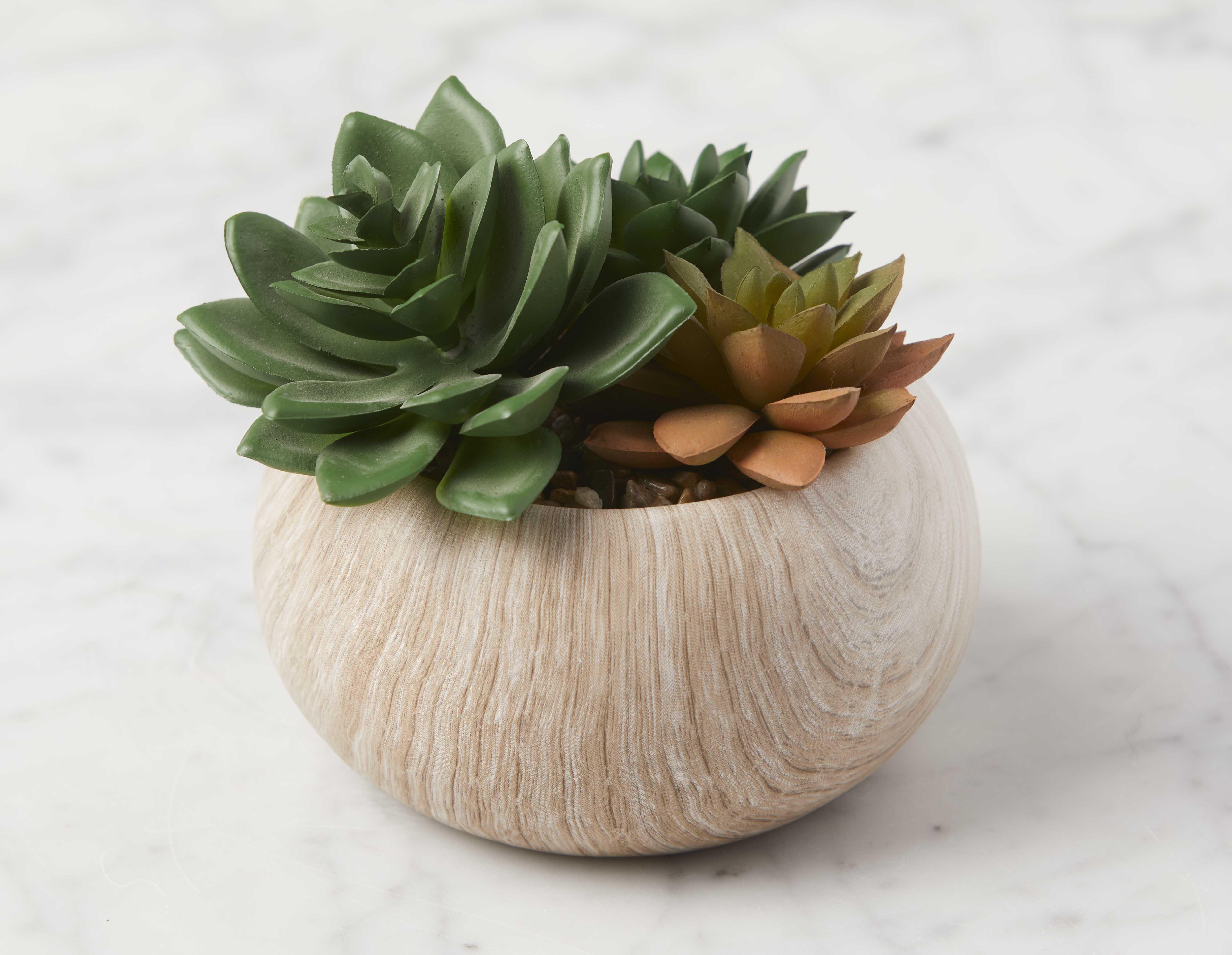 TISHA plante artificielle en pot 13 cm undefined