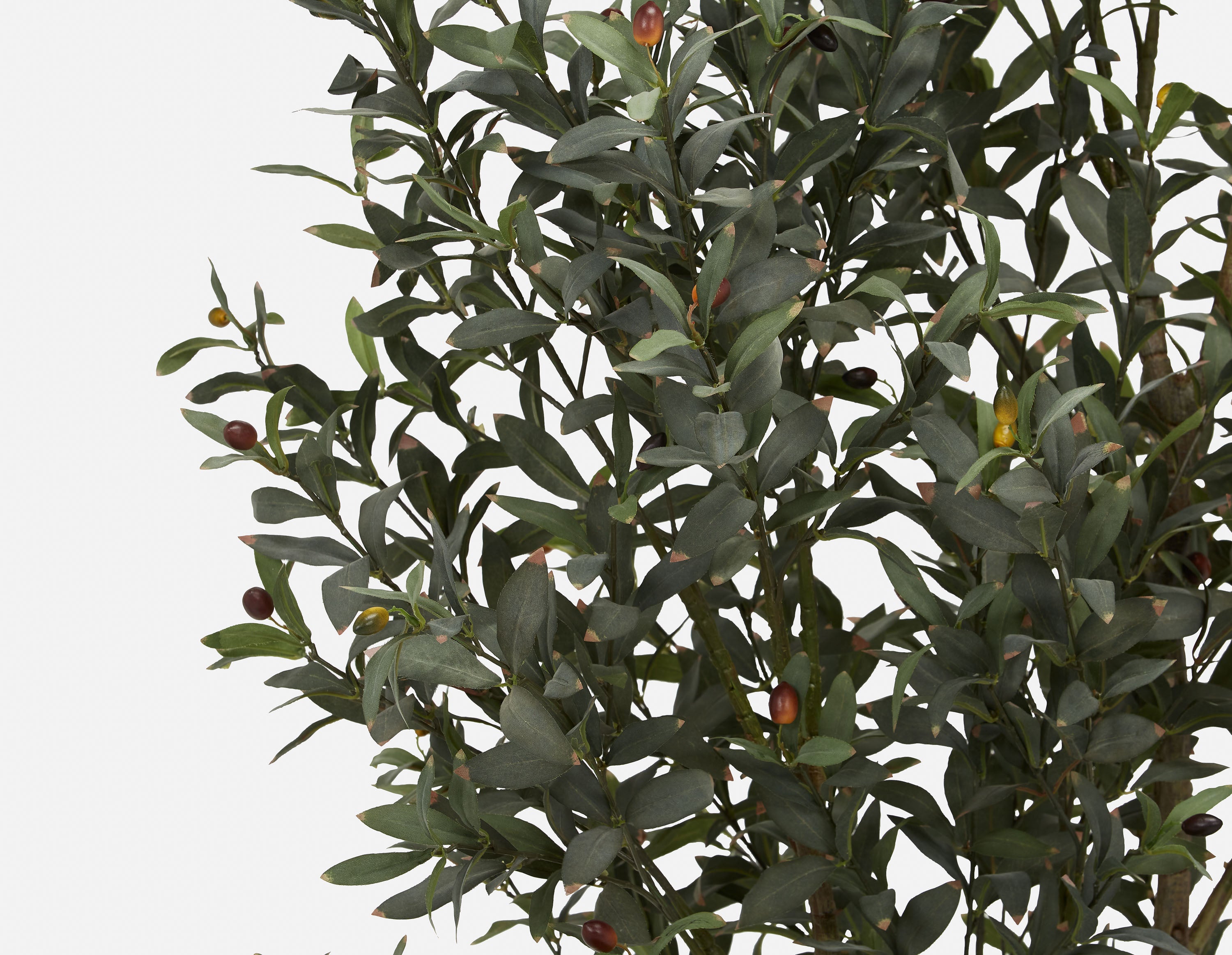 OLIVE II plante artificielle en pot 200cm undefined