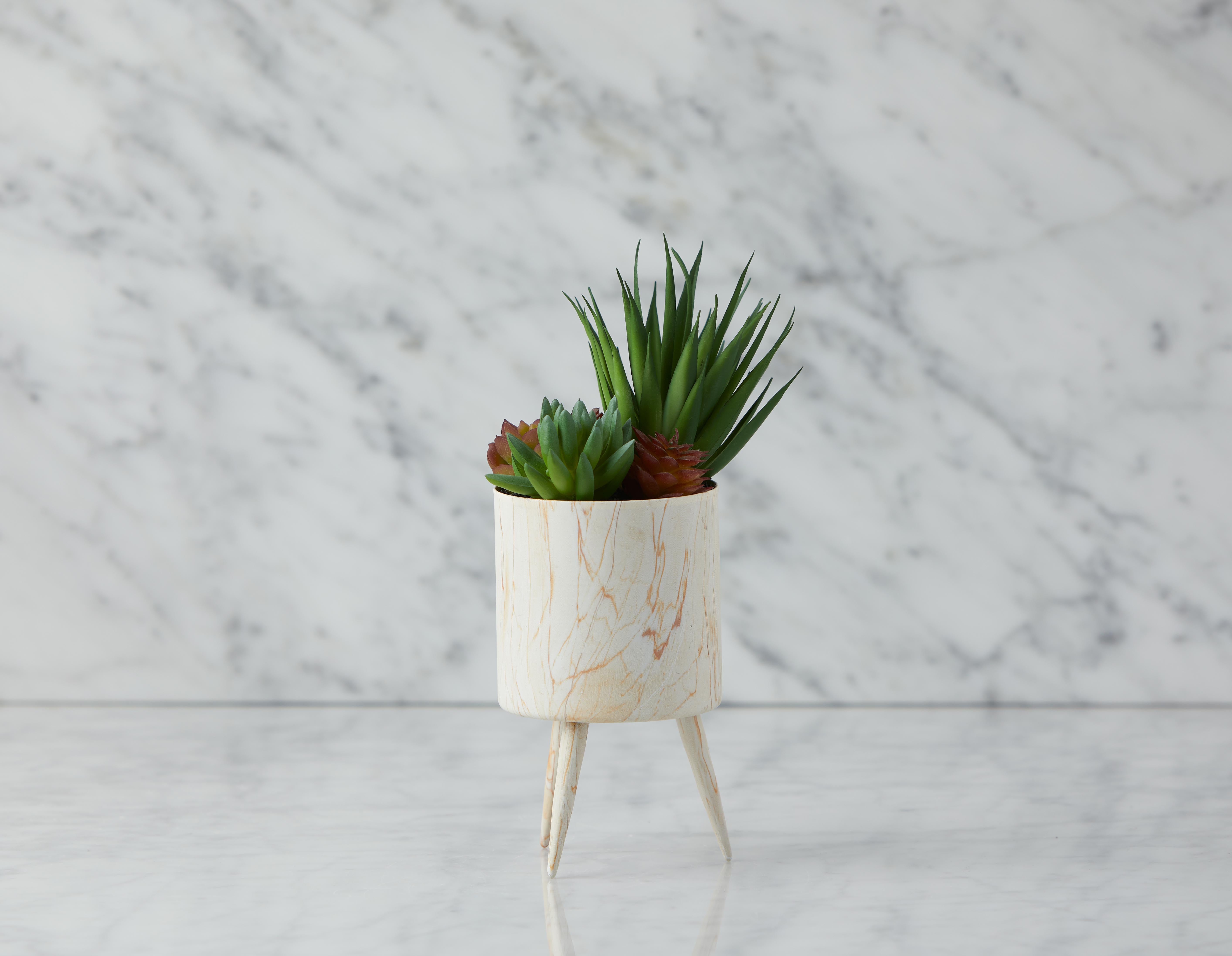 TAWNEY plante artificielle en pot 25 cm undefined