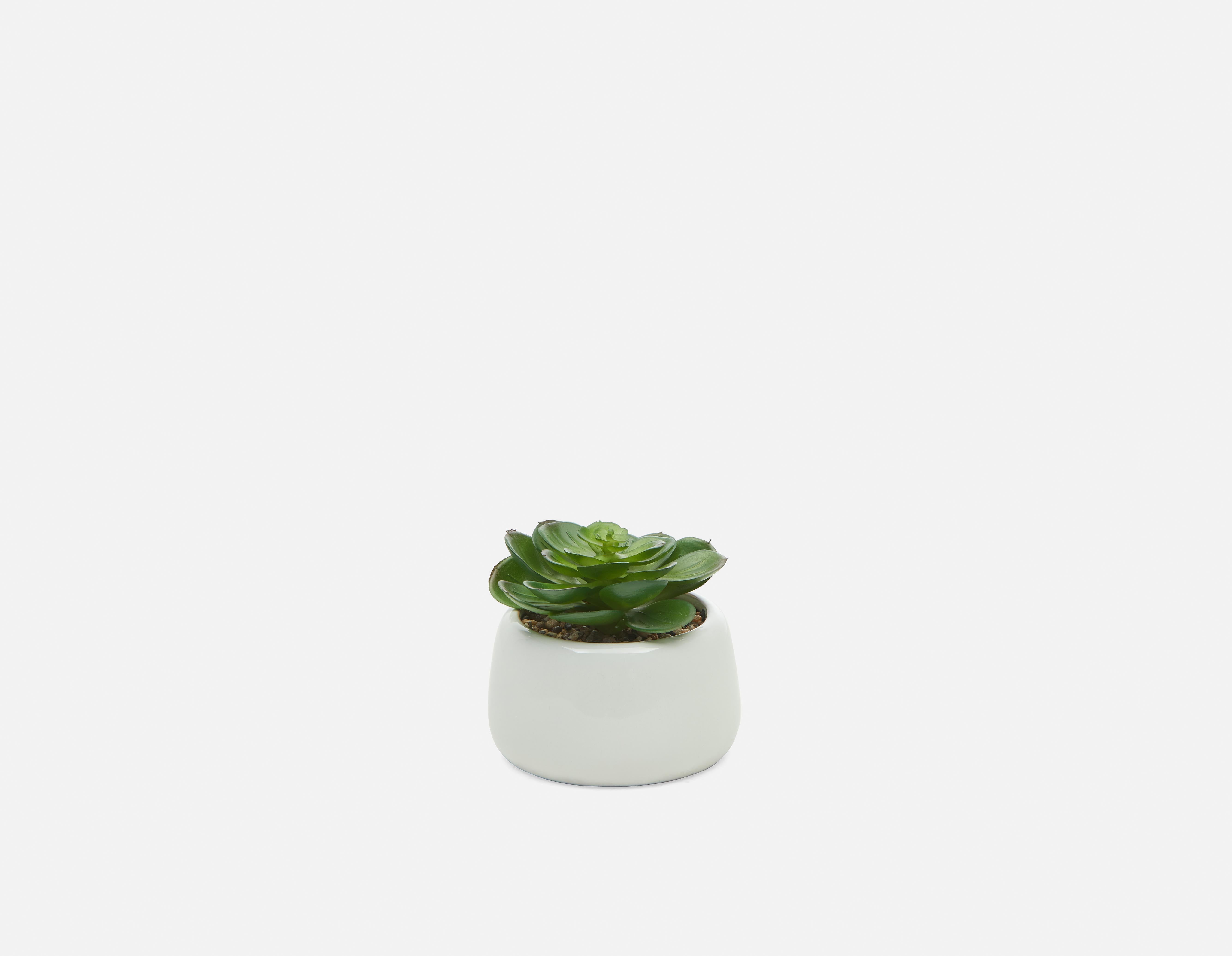 CAORY plante artificielle en pot 11 cm undefined