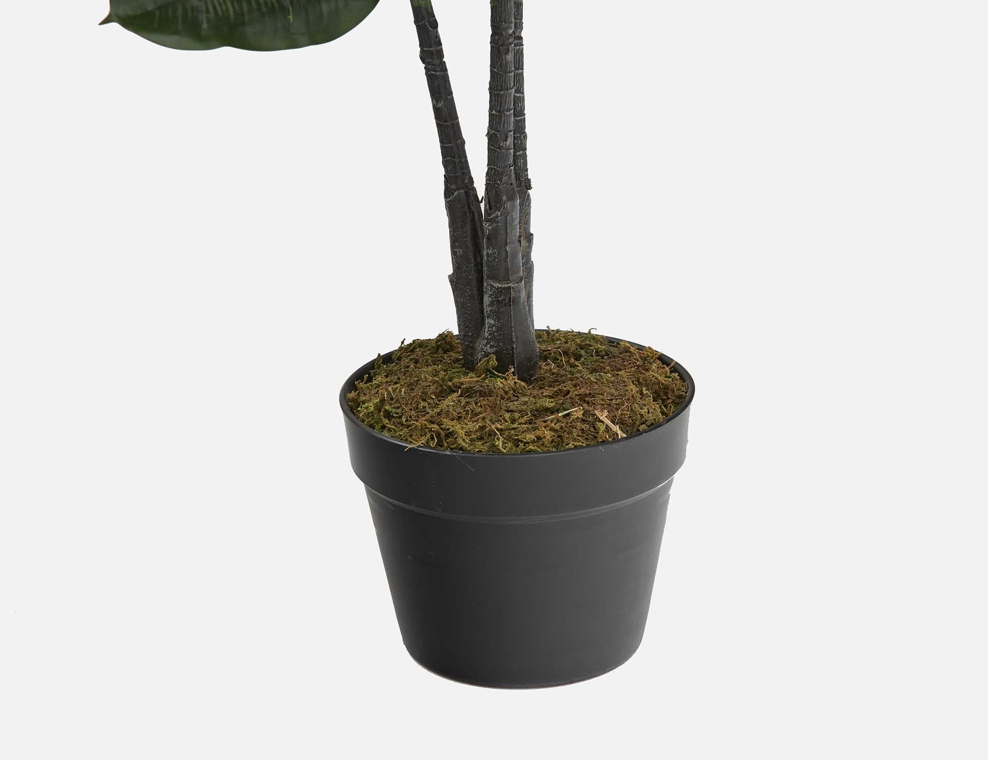 FICUS ELASTICA plante artificielle en pot 130 cm undefined