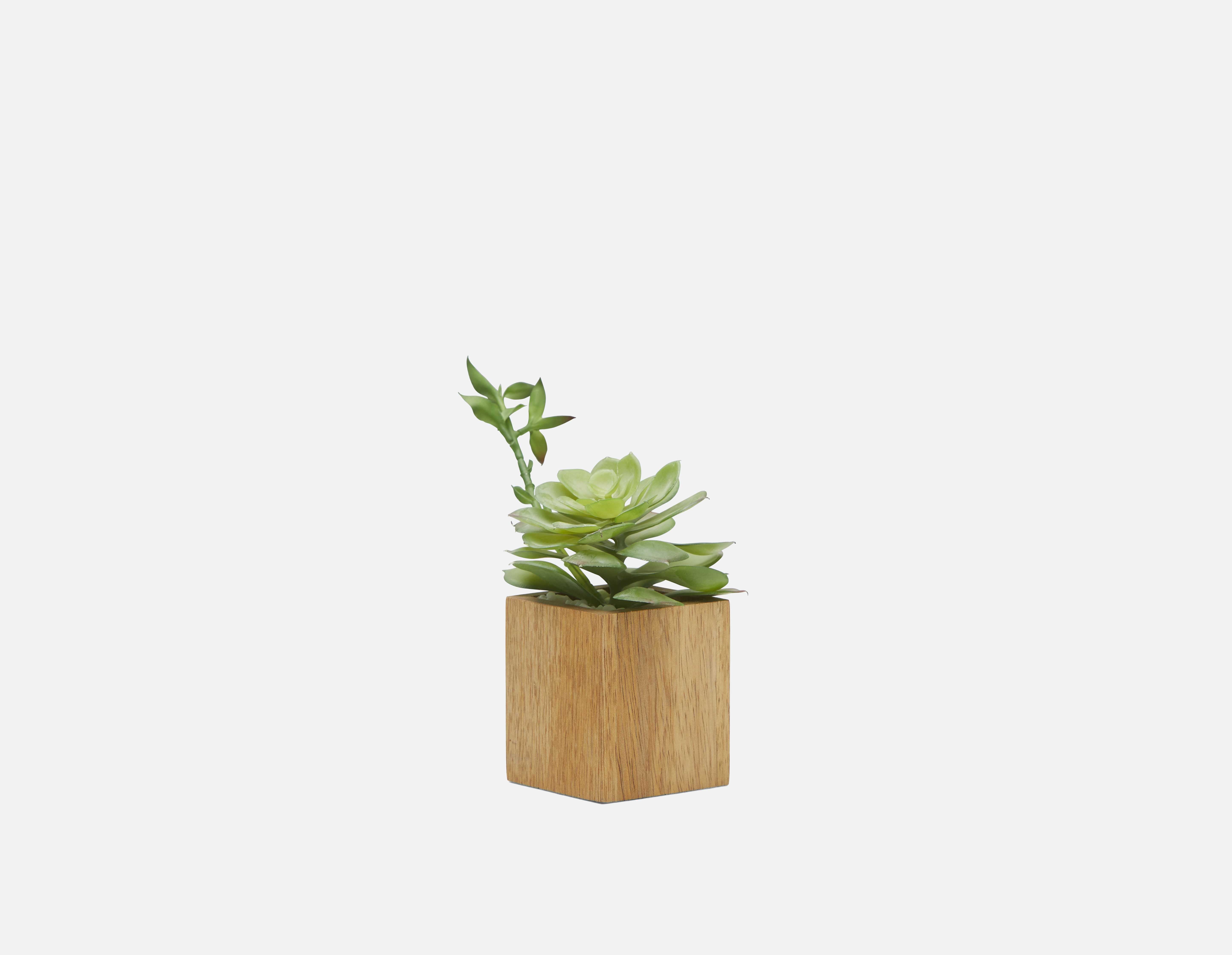 FORET plante artificielle en pot 7 cm undefined