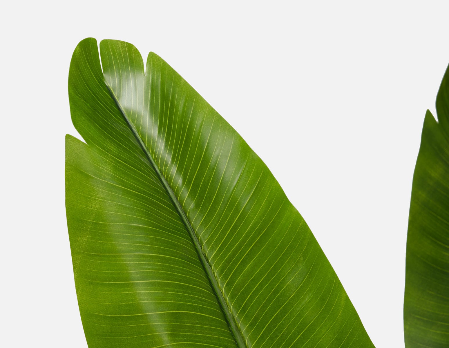 VERTO plante artificielle en pot 210 cm undefined