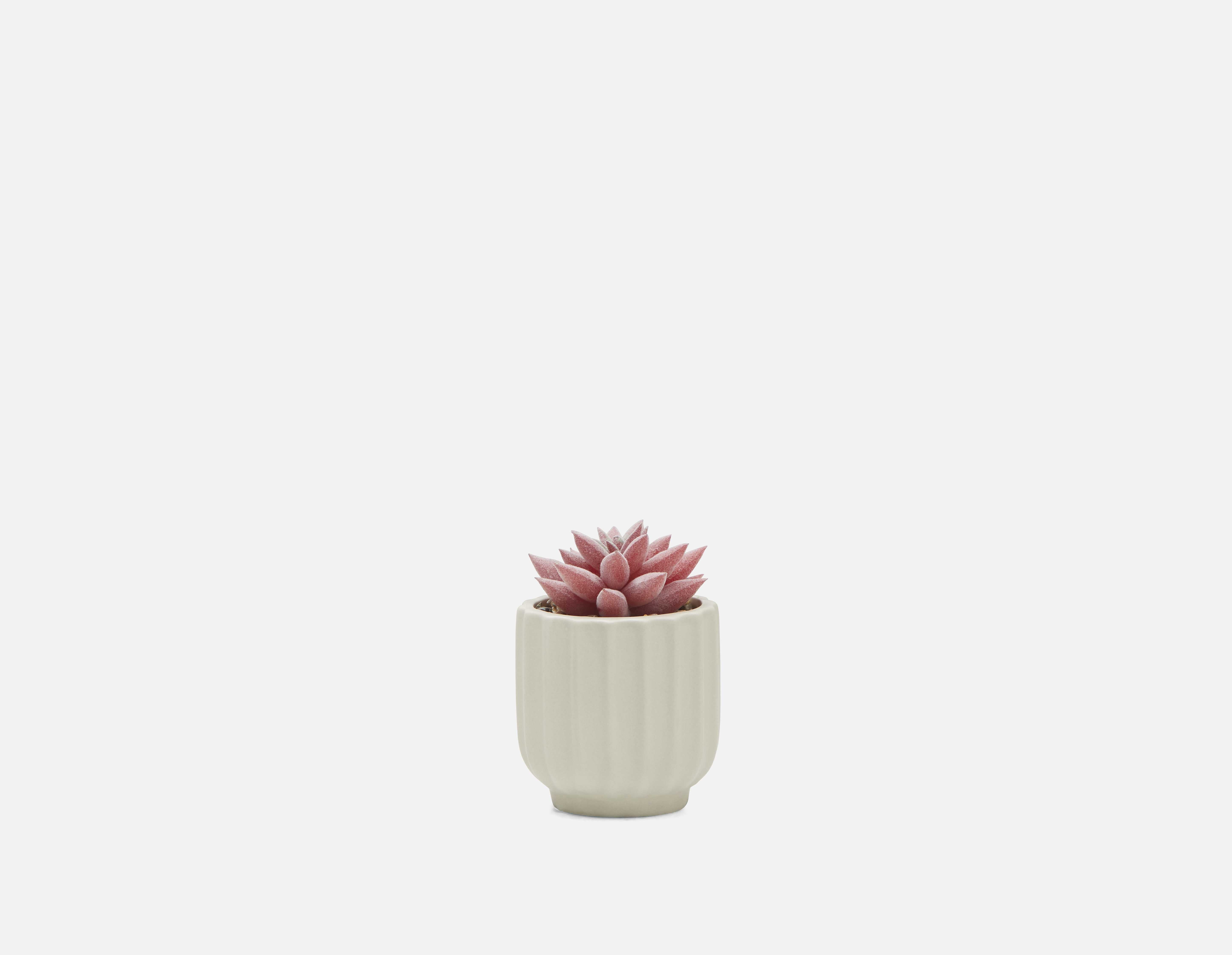 GALE plante artificielle en pot 12 cm undefined