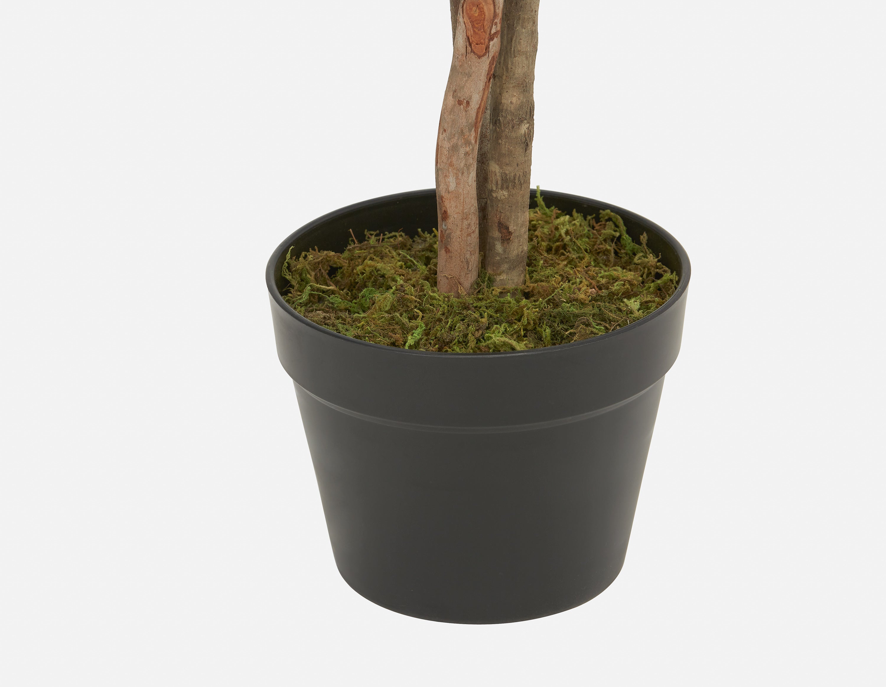 EUCALYPTUS IV plante artificielle en pot 125cm undefined