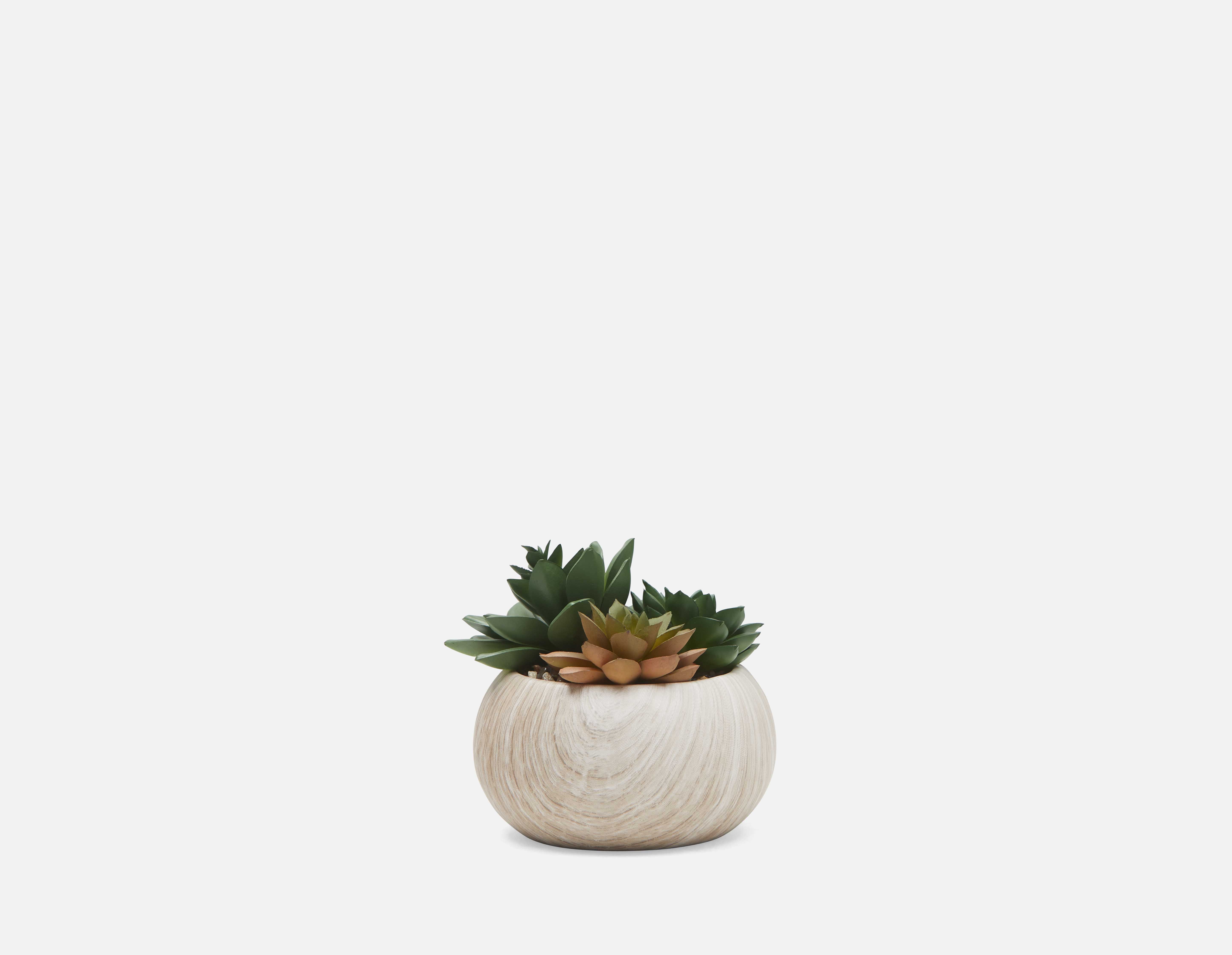 TISHA plante artificielle en pot 13 cm undefined
