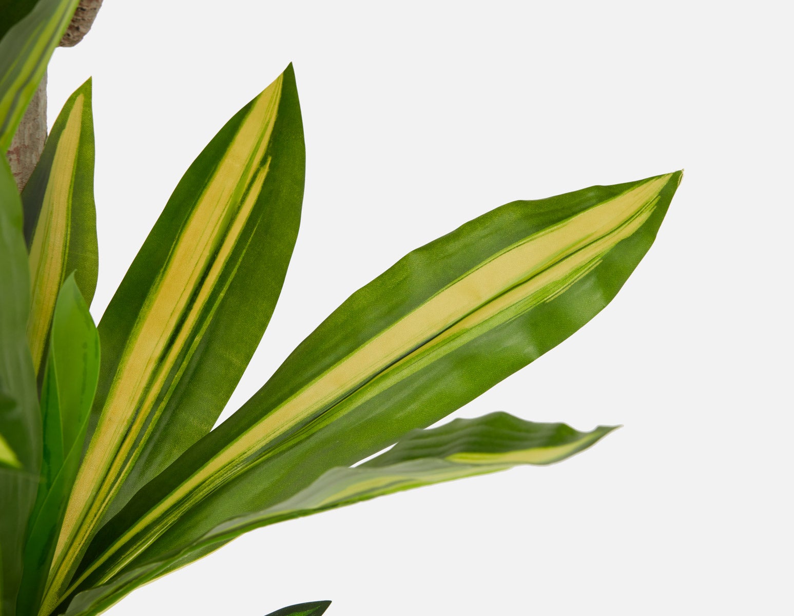 DAXI plante artificielle en pot 150 cm undefined