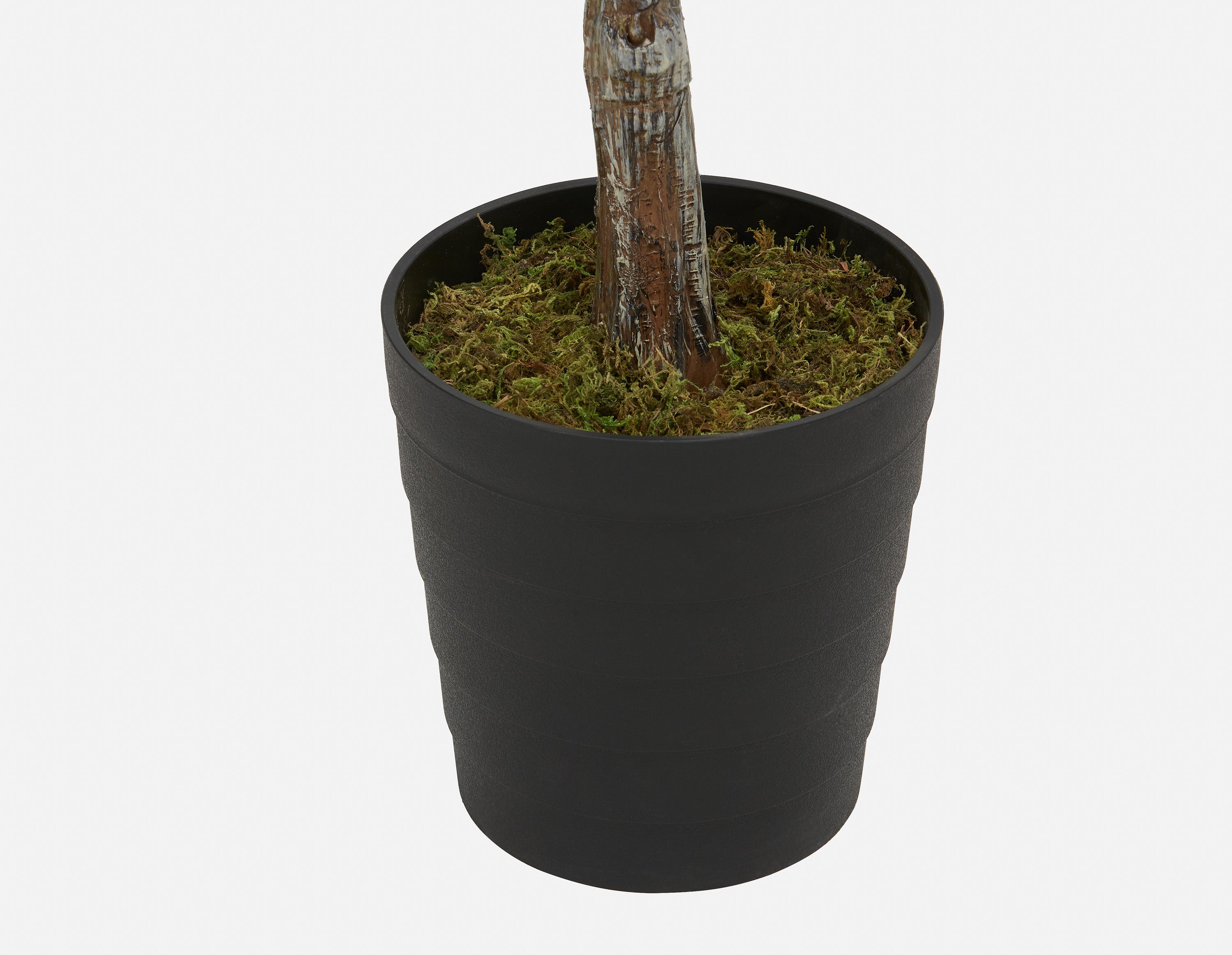 OLIVE II plante artificielle en pot 200cm undefined