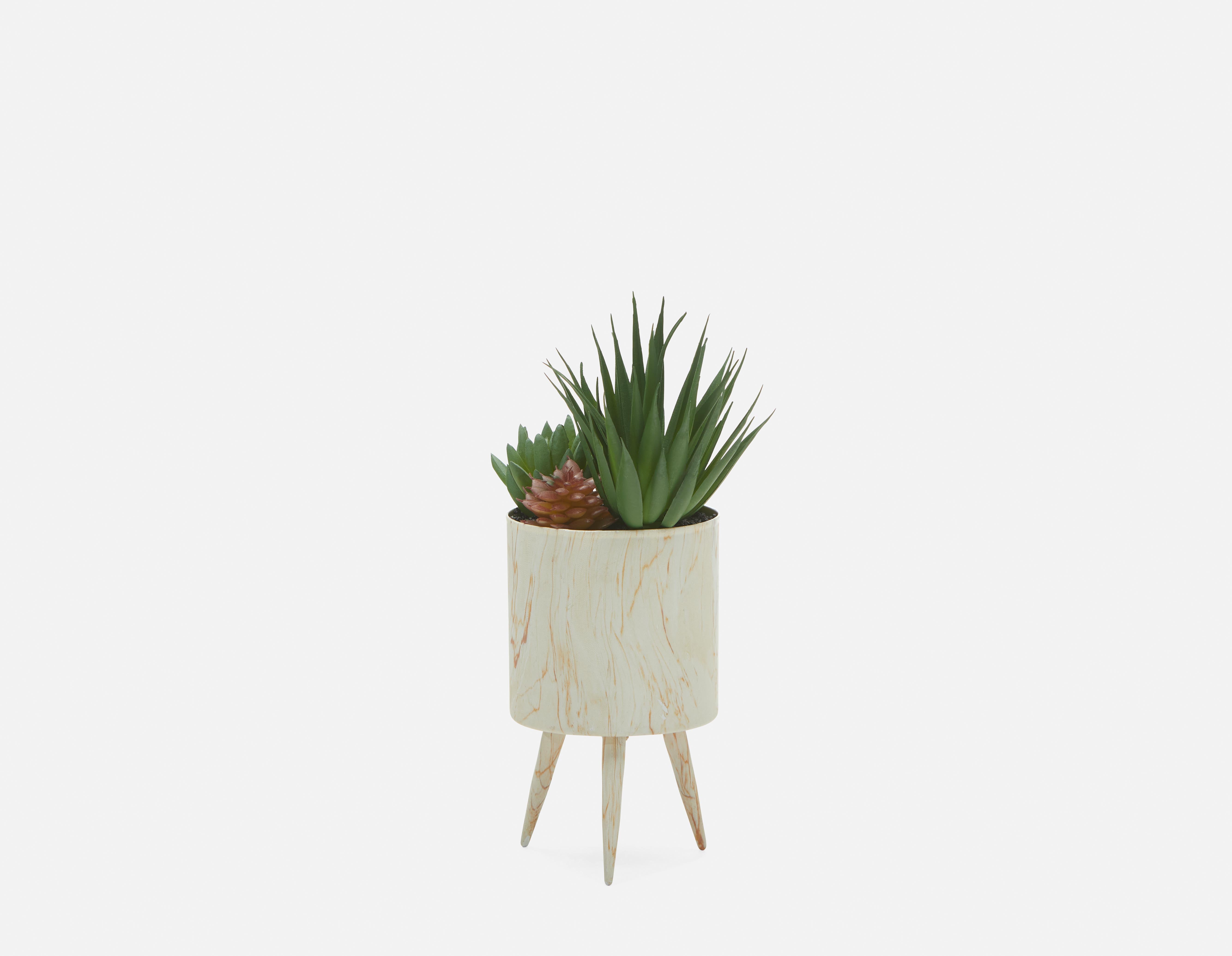 TAWNEY plante artificielle en pot 25 cm undefined